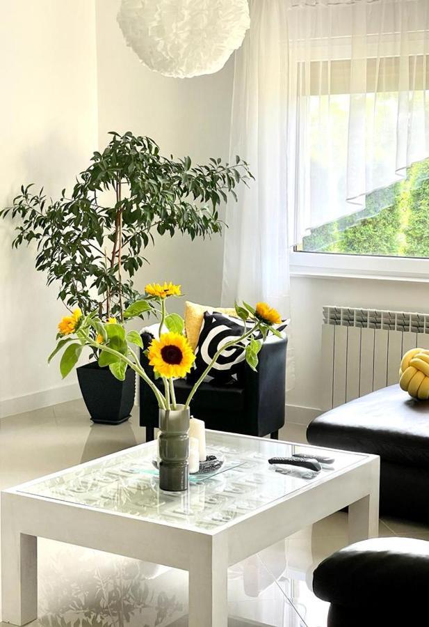 U Gosi Zator Villa Ngoại thất bức ảnh